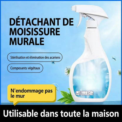 🔥Vente Flash 2026🔥 Spray Anti-Moisissures Hautement Efficace - Empêche la Réapparition