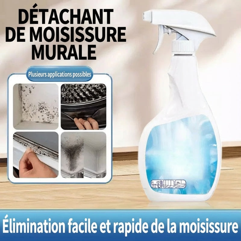 🔥Vente Flash 2026🔥 Spray Anti-Moisissures Hautement Efficace - Empêche la Réapparition